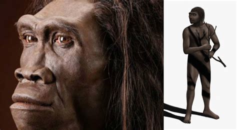 Controversies Surrounding the Use of the Homo erectus Mascot